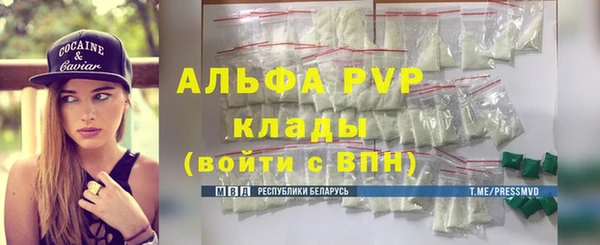 экстази Бородино