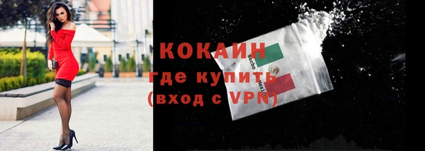 соль ск Богородск