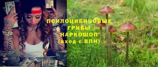 гашик Богородицк