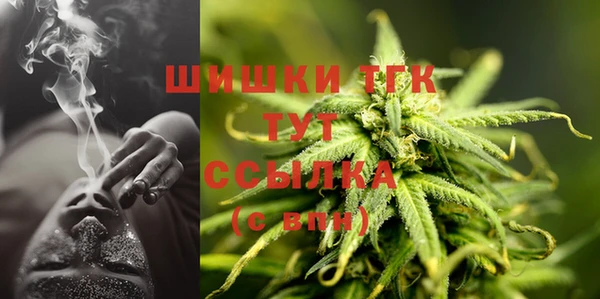 гашик Богородицк