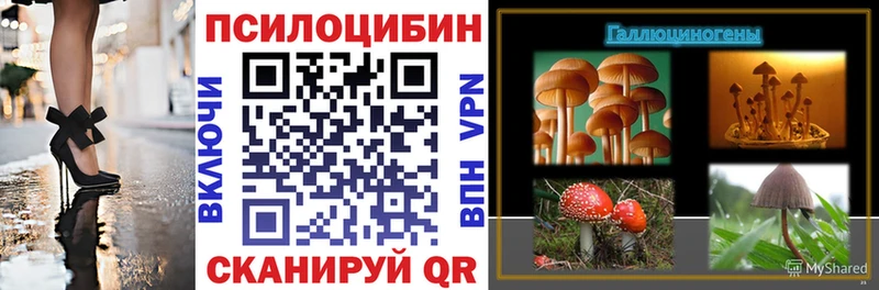 Галлюциногенные грибы ЛСД Мезень